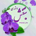 💜اᷘستــ์وریٰ‌ بـَ۪۪ٜؒؔـ۪۪۪ٜـ۪نَـفـُشَُ💜