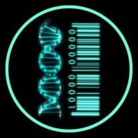 Dna Matrix Hackers