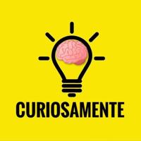 💡CURIOSAMENTE🧠