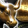 Airdrop List Crypto Bulls