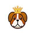 👑DogeKing News Global (EN)