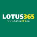 Lotus365