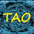 TAO 🌐 Theorie Aller Ordnung 🌐 Theory About Origin
