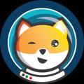 Shiba Space Token