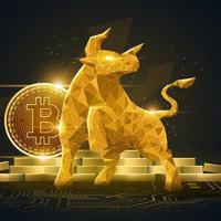 Crypto bulls