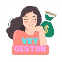 Vey Gestun PayLater