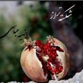 شکسته تر از انار (راضیه عباسی)