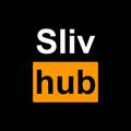 SLIVHUB | СЛИВЫ БЛОГЕРОВ ТИКТОКЕРОВ ЗВЕЗД