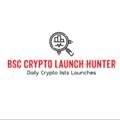 Crypto Launch Hunter (CrossChain)