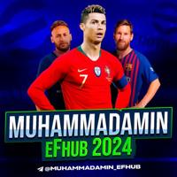 Muhammadamin | eFhub | 2024