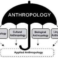 Anthropology UPSC State PCS NET JRF