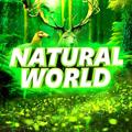 Natural World