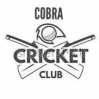 CRICKET FREE TIPS BY COBRA 🐍💣