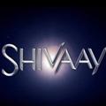 TOSS KING SHIVAAY