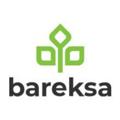 BAREKSA INVESTASI REKSADANA