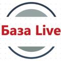 База Live