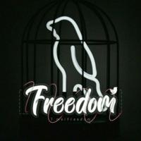 ‌‌Freedom