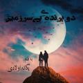 «دو پرنده‌ی بی‌سرزمین» یگانه اولادی