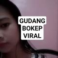 GUDANG VIDEO VIRAL