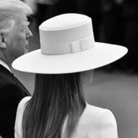 White Hats