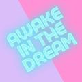 Awake in the Dream