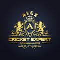 CRICKET EXPERT™