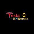 Tesla BNB Miner