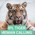 IPL TIGER MEMAN (CALLING )