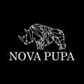 Nova Pupa Announcement channel