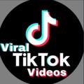 Viral Tik Tok Videos