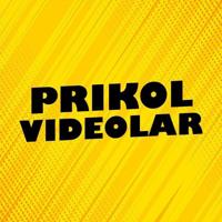 Prikol Videolar 🎬