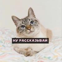 ПСИХОсрач 🐈‍⬛