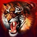 TIGER_THE_BRAND