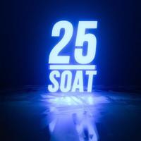 25 SOAT - REYD