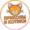 Приколы и Котики