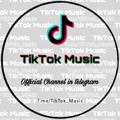 TIKTOK MUSIC 🎶🔥