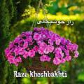 ༄💜.•raze khoshbakhti•.💙༅