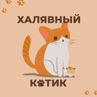 Халявный Котик 😻