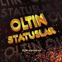 OLTIN STATUSLAR