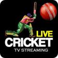 Live Cricket Links News Free