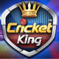 CRICKET~KING (IPL MATCH KING)