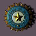 BCCI INDIAN CRICKET TIPS