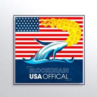 Blockchain Usa Official ( Binance ) 🐋