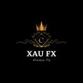 XAU FX