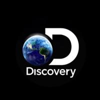 Discovery 🌍