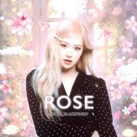 ROSÉ | YG