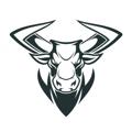 Crypto Bull