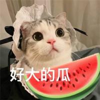 🍉吃瓜搞笑猎奇中心🌚