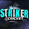 ＳＴＲＩＫＥＲＳ ＢＲＡＮＤ